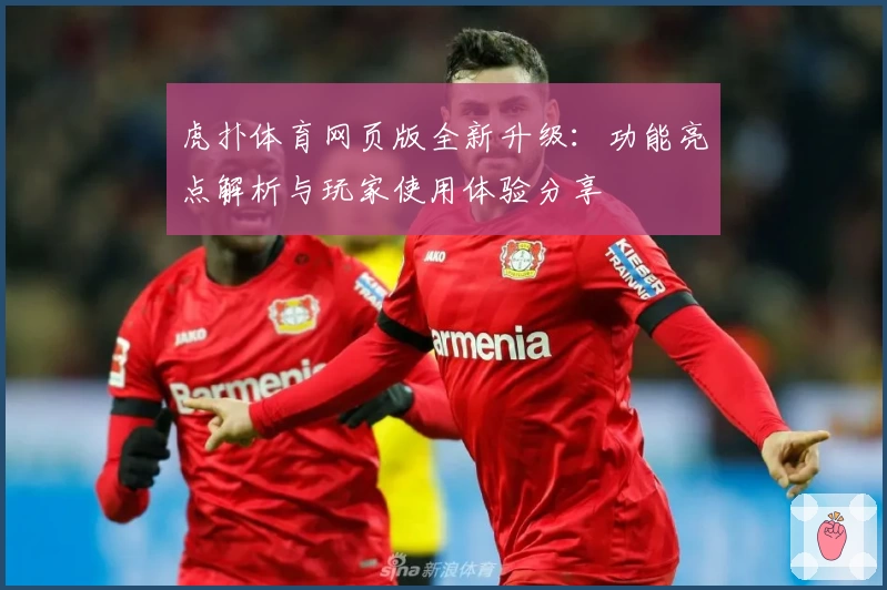 虎扑体育网页版全新升级：功能亮点解析与玩家使用体验分享