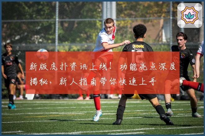 新版虎扑资讯上线！功能亮点深度揭秘，新人指南带你快速上手