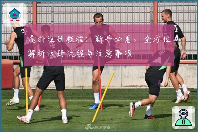 虎扑注册教程:新手必看,全方位解析注册流程与注意事项