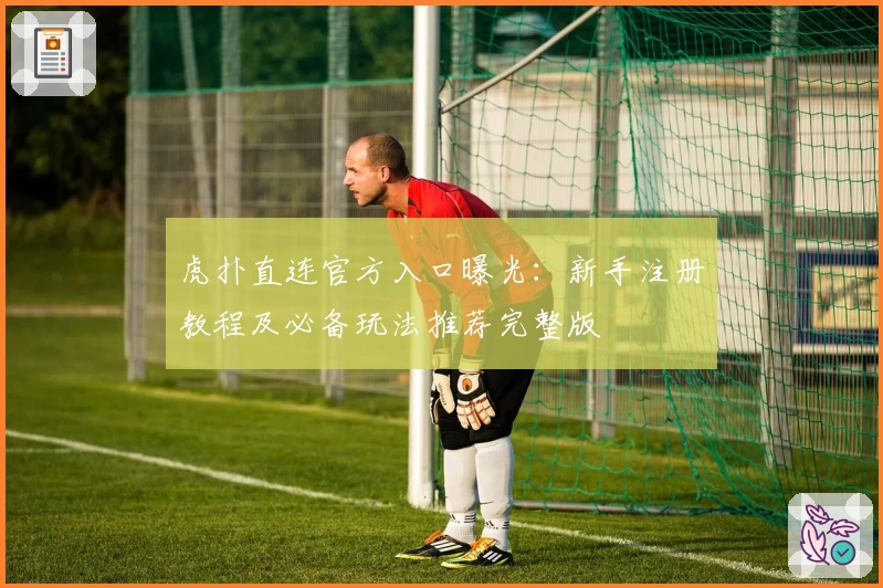 虎扑直连官方入口曝光：新手注册教程及必备玩法推荐完整版